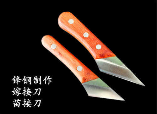 锋钢锯条W2嫁接刀苗木芽接刀削木修剪刀花枝嫁接刀园艺盆景嫁接刀 - 封面