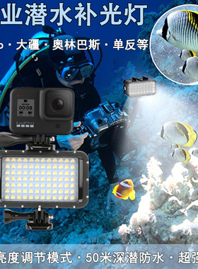 GoPro13/12/11/10潜水补光灯大疆Action6/5Pro/4/3/1水下防水照明