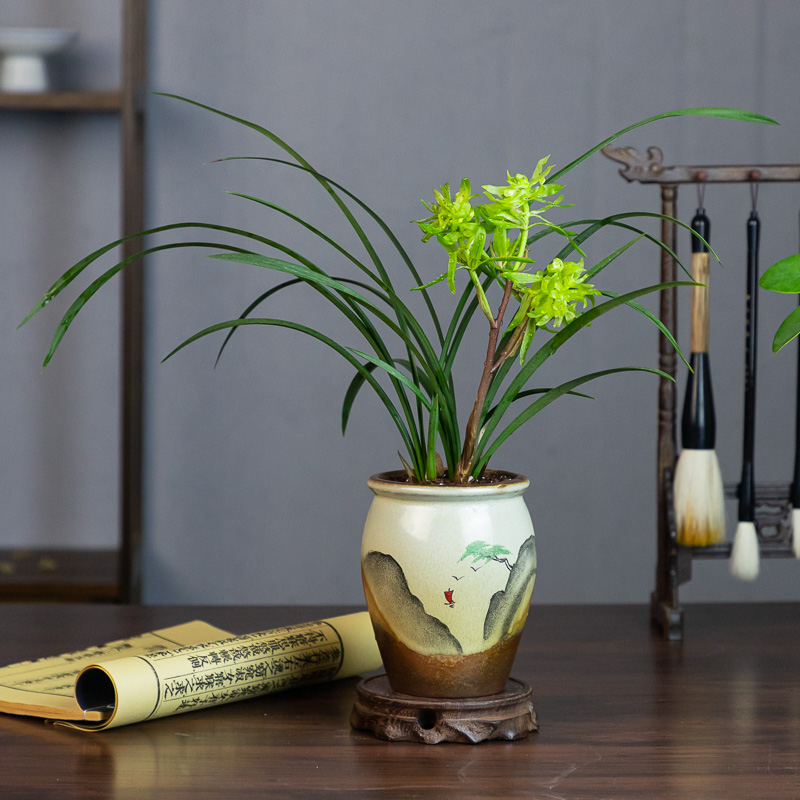 春兰盆花开富贵盆栽浓香型观兰花植物室内四季好养名贵带花苞花卉