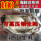 烧烤酒店海蛎子牡蛎 精品乳山三倍体鲜活生蚝100斤整箱装 包邮