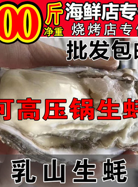包邮批发精品乳山生蚝100斤
