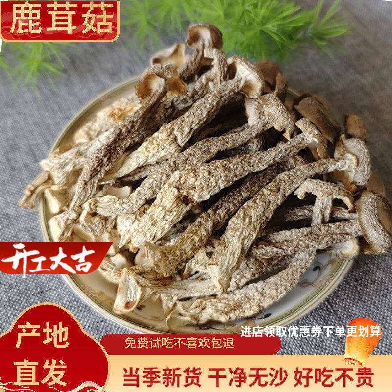 新货鹿茸菇干货500g云南特产蘑菇野生菌鹿茸菌包口感脆嫩鲜香美味
