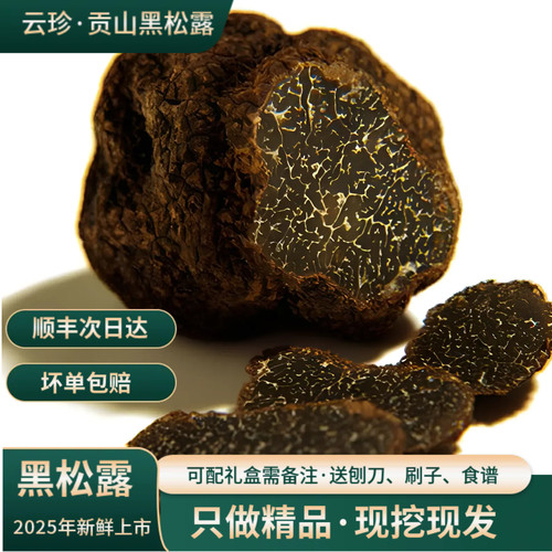 云南新鲜黑松露菌菇块菌白松露