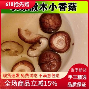 椴木香菇干货100g 香菇 珍珠小香菇蘑菇金钱菇野生菌云南特产 包邮