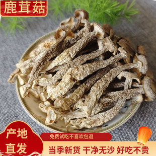 新货鹿茸菇干货500g云南特产蘑菇野生菌鹿茸菌包口感脆嫩鲜香美味