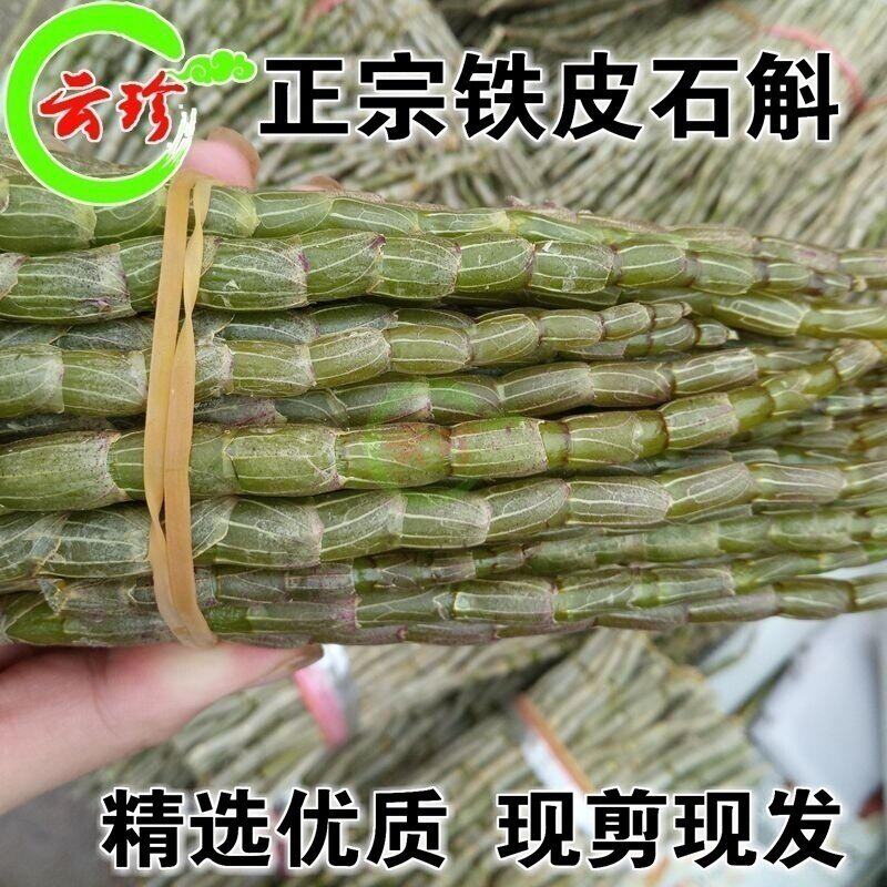 新鲜铁皮石斛鲜条 4年仿野生 滋补养生效 胶质多渣少包邮石斛枫斗