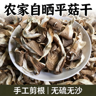 农家平菇干货剪根无沙煲汤火锅食材食用北风菌蘑菇白菇云南凤尾菇