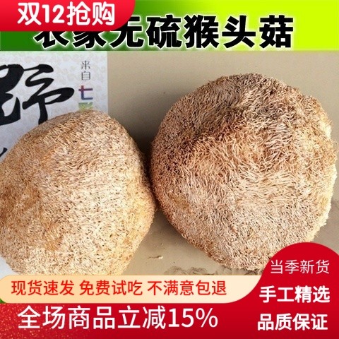 新货猴头菇250g农家无硫健康