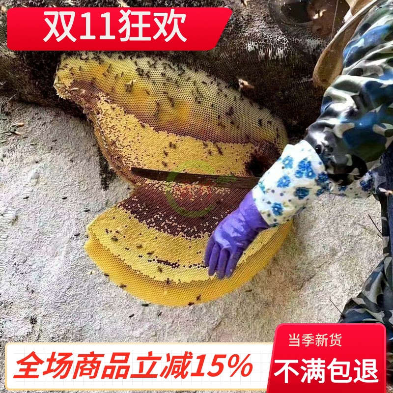 云南崖蜜野生岩蜂蜜酸巢蜜成熟