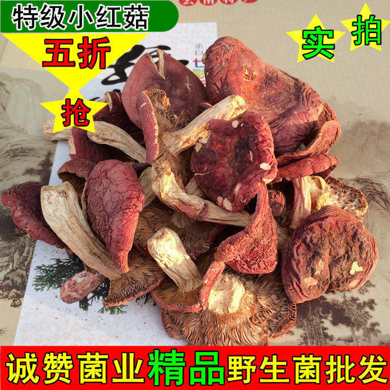 新货野生红菇200g 云南野生小红菇干货特价包邮蘑菇 野生菌小红菌