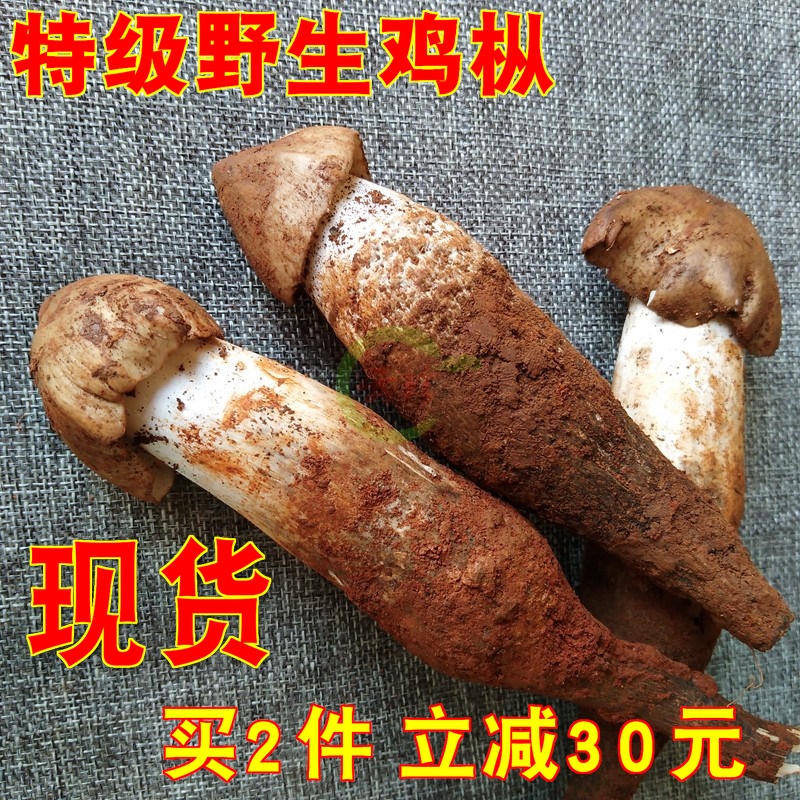 ÏÖ»õÐÂÏÊÒ°Éú¼¦èȾú500g ÌØ¼¶¼¦×ؼ¦×ÝÔÆÄÏÒ°ÉúÄ¢¹½°üÓÊ ÏÊÀóÖ¦¾ú