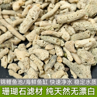 大块珊瑚石滤材锦鲤鱼池过滤材料海鲜池净化天然珊瑚骨珊瑚沙滤材