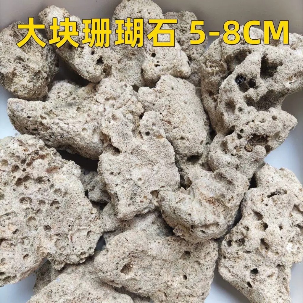天然大块珊瑚石滤材锦鲤鱼池过滤材料海鲜池过滤净化珊瑚骨珊瑚沙图片