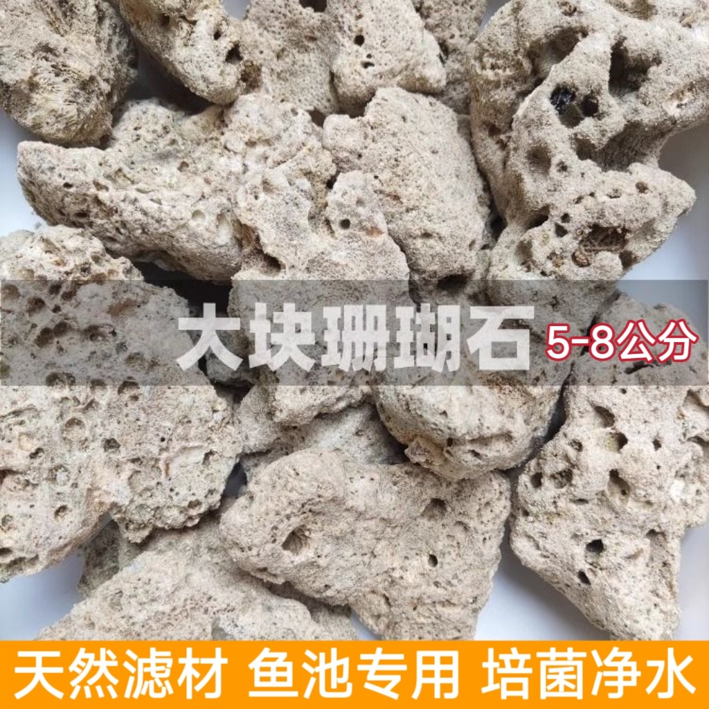 大块珊瑚石滤材锦鲤鱼池净水培菌海鲜池净化天然珊瑚骨珊瑚石过滤图片