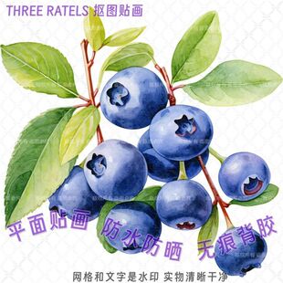 蓝莓没烦恼水果图案抠图贴画贴墙上贴花床边柜门贴饰装饰自粘贴纸
