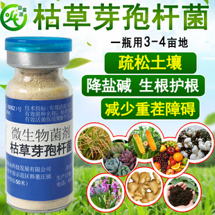 益富源枯草芽孢杆菌原种微生物菌剂农用清洁土壤以菌抑菌种植通用