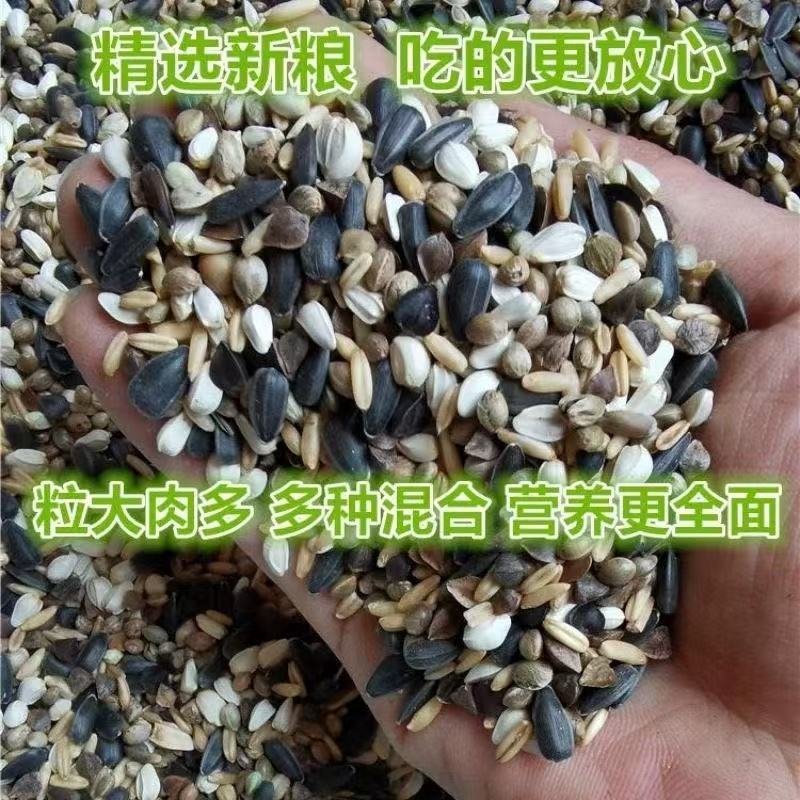 小太阳专用粮食养殖场自配鸟粮图片