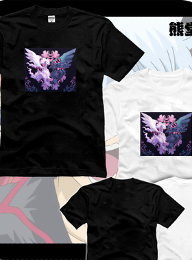 口袋妖怪雷西拉姆酋雷姆捷克罗姆黑白神兽衣服T恤