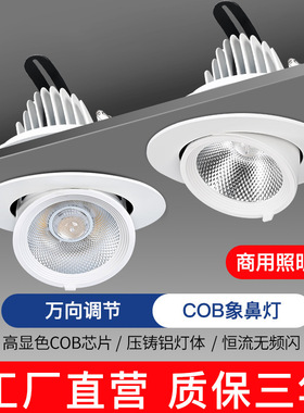 COB象鼻灯led洗墙射灯嵌入式天花灯可调角度筒店铺商用全光谱聚光