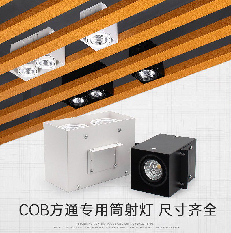 可调节角度聚光射灯cob斗胆雷哲