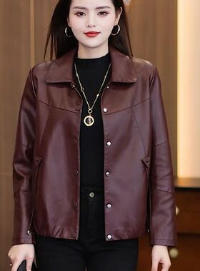 海宁短款皮衣外套女2025春秋季皮衣外套新款洋气尖领显瘦百搭上衣
