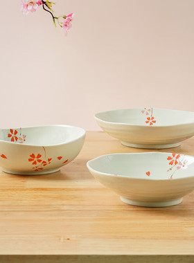 美浓烧（Mino Yaki）日本进口白韵垂枝樱餐盘水果盘日式陶瓷餐具