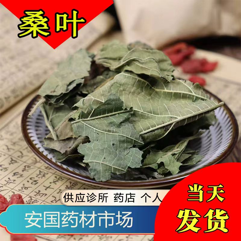 干桑叶500g安国药材市场