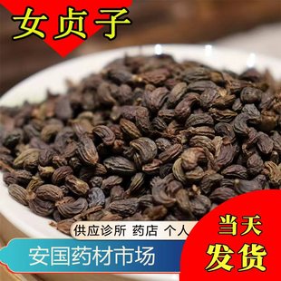 500g克 冬青子 包邮 药材 安国药材市场 新货 女贞子