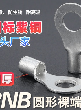 接线端子RNB1/2/3-4S/5/6/8圆形裸端头国标紫铜加厚O型压线耳鼻子