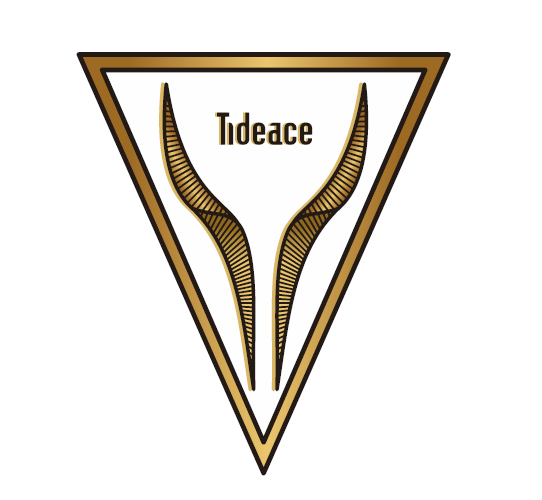 定制与补差价专用链接 自行车涂装 涂装 TIDEACE 定制翻新