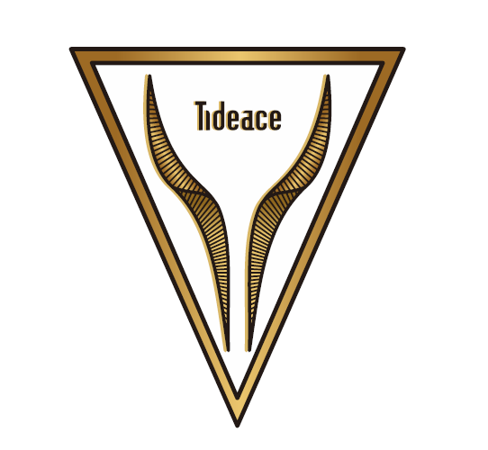 TIDEACE 涂装风格方案参考 头脑风暴DIY涂装样式参考