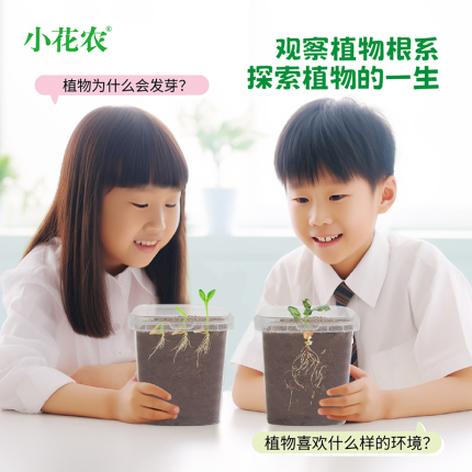 凤仙花种籽套盒小学生科学实验观察指甲花儿童种植小盆栽套装种子