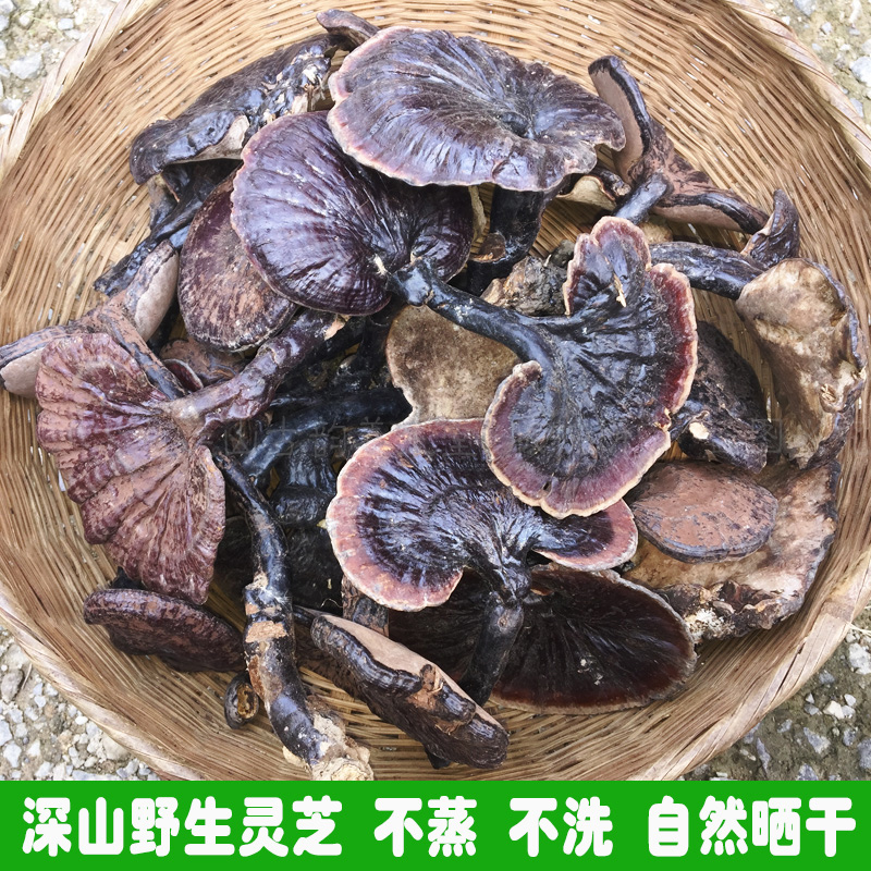 野生紫灵芝正品黑芝紫芝长白山特级干货切片打粉整枝泡酒煲汤250g