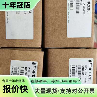 维修INFICON英福康IKR251真空计，型号IGG25500议价