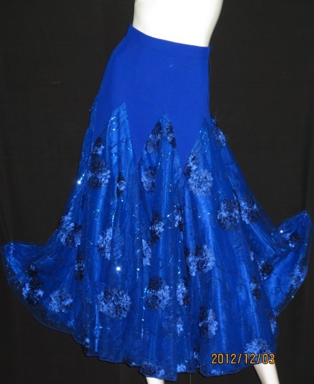 交谊舞国标广场舞摩登舞比赛裙练习裙摩登舞裙半身裙新款大摆定制