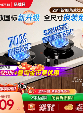 [焕新补贴]万和燃气灶煤气灶家用双灶天然气液化气不锈钢灶台B9S