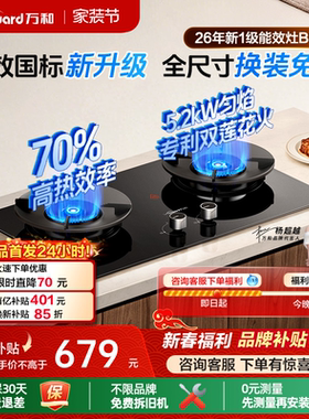 [焕新补贴]万和天然气燃气灶煤气灶家用双灶C3台嵌液化气灶台B9S