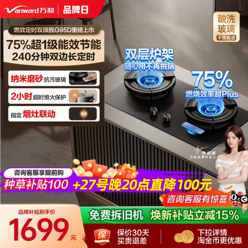 [75%热效之巅]万和双定时燃气灶煤气灶家用双灶天然气无痕G95D
