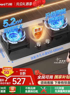 [政府补贴]万和燃气灶煤气双灶天然气液化气台嵌入式家用炉具C3