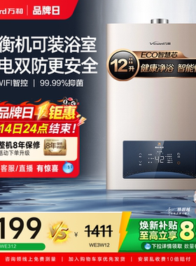 万和平衡式燃气热水器家恒温用浴室安装洗澡天然气液化气官方WE3