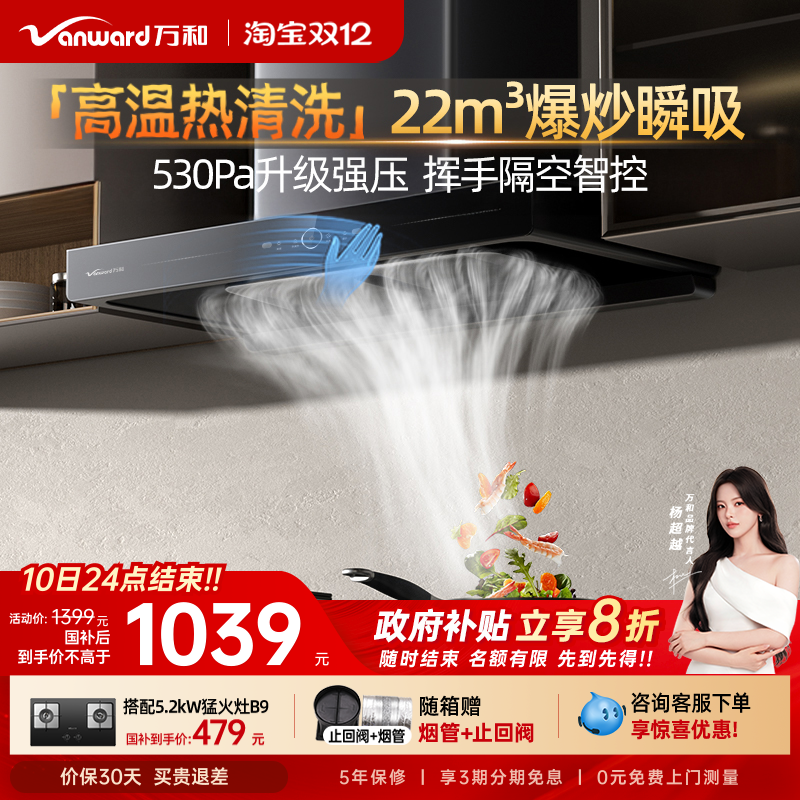 21吸力欧式挥手控烟机