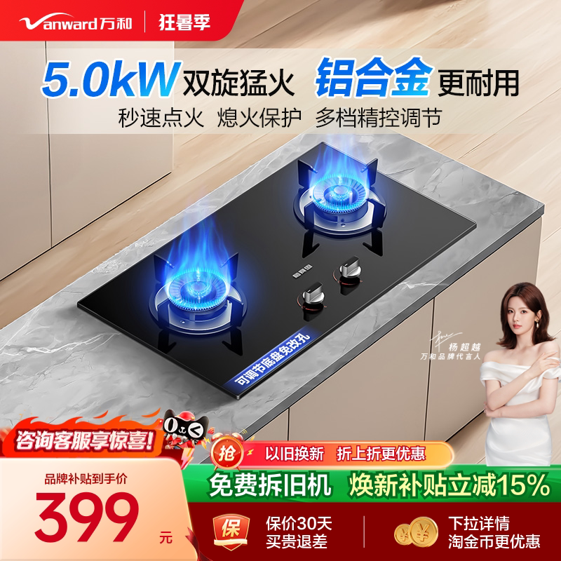 [品牌补贴]万和梅赛思燃气灶煤气家用双灶天然气液化气台嵌灶具X1 - 实物图