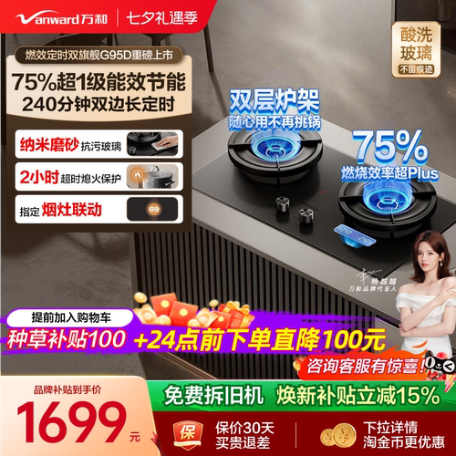 [75%热效之巅]万和双定时燃气灶煤气灶家用双灶天然气无痕G95D