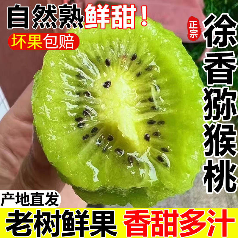 【徐香猕猴桃】陕西眉县产地直发
