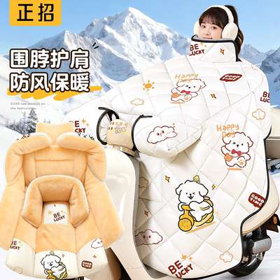 电动车挡风被冬季加厚保暖