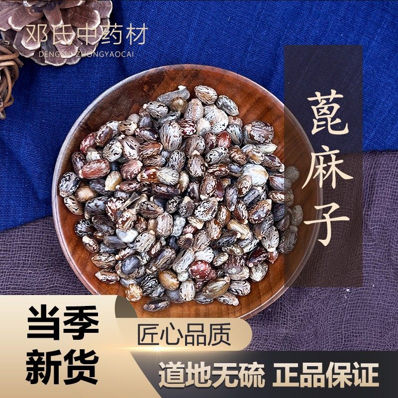 中药材店铺 黑皮蓖麻子50克新鲜蓖麻籽仁中药材蓖麻种子