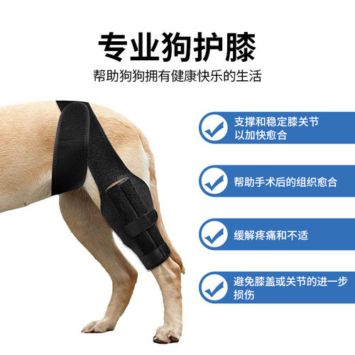 宠物狗狗防磨腿部绷带辅助带