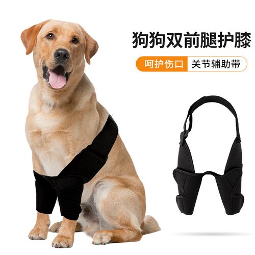 宠物护具狗狗护腿受伤辅助护膝
