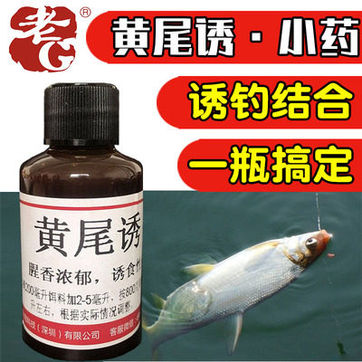 老g青红黄尾巴饵料配方钓鱼小药