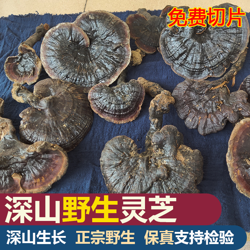 纯野生灵芝紫灵芝切片深山采摘纯正天然整枝林芝黑灵芝片泡茶250g